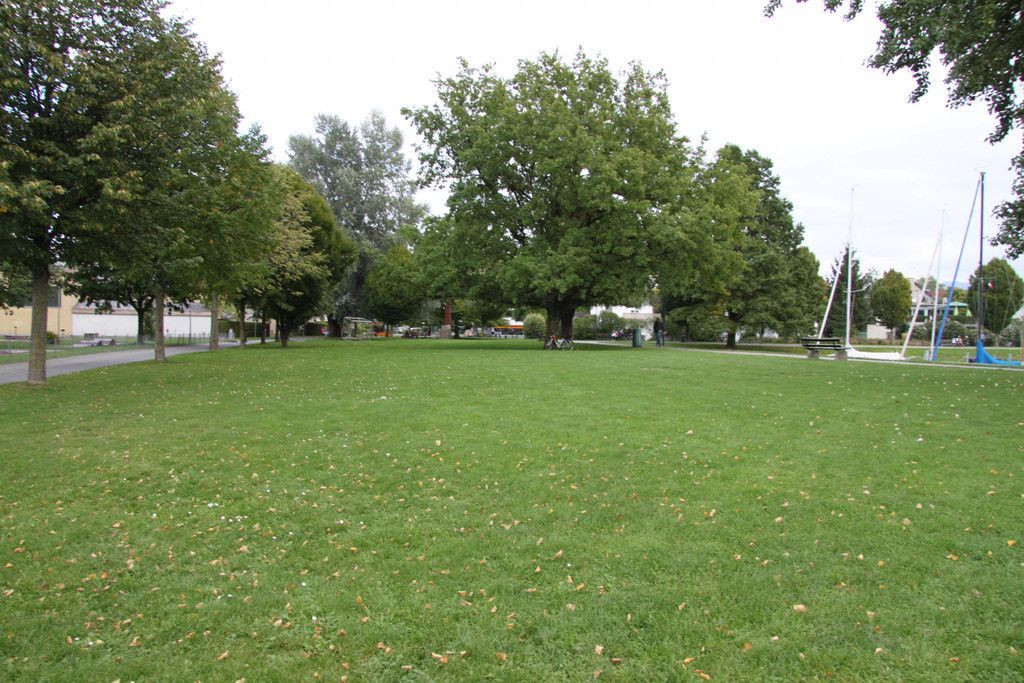 IMG_9583.JPG