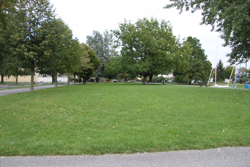 IMG_9586.JPG