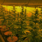 20190919 - PI Sollenau - Foto 2.JPG