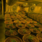 20190919 - PI Sollenau - Foto 3.JPG