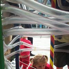 344194.jpg