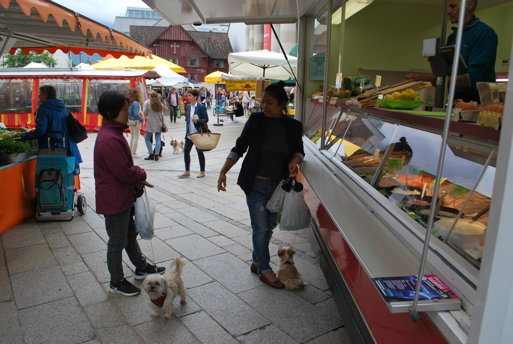 DSC_1814.JPG