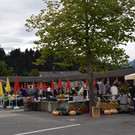 DSC_2023a.jpg