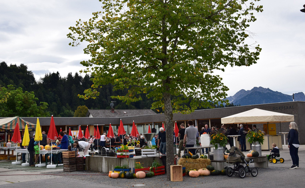 DSC_2024a.jpg