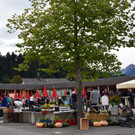 DSC_2024a.jpg