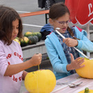 DSC_2046a.jpg