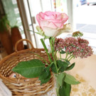 IMG_9879_jiw.jpg