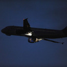 ABD0052-20111122.jpg