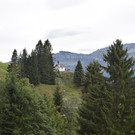 DSC_0524.JPG