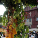201_coL__ndleBur_Er__ff_ Dornbr Herbst.jpg