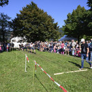 DSC_0586_jiw.jpg