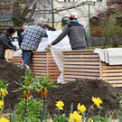 Essbare Stadt Dornbirn feiert Abschluss des ersten Erntejahres