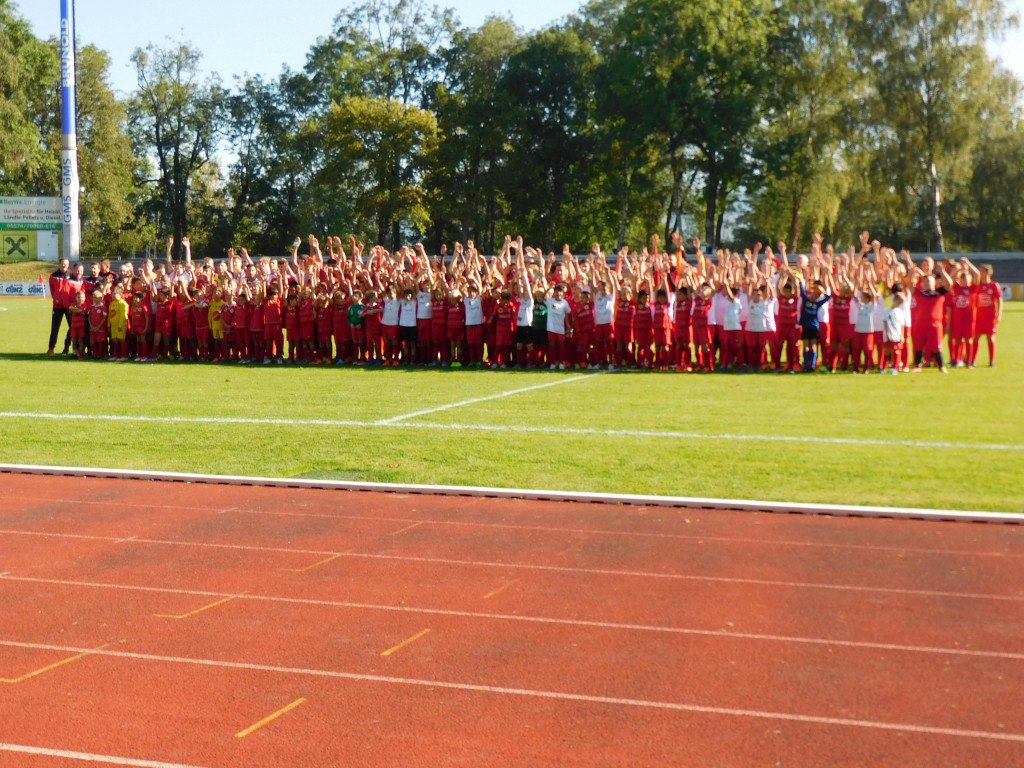 DSCI2354.JPG