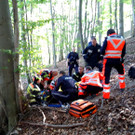 Berufsrettung Wien rettet Schwammerlsucherin _3_.JPG