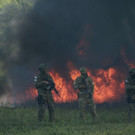 Panama_Drugs_Destruction_31623.jpg