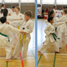 Training bei Mustang