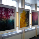 charim-galerie-foto-thomas-eisl.jpg
