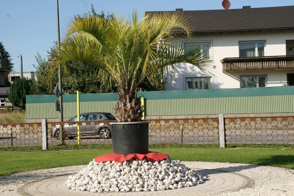 Auch Palmen zieren den Garten.JPG