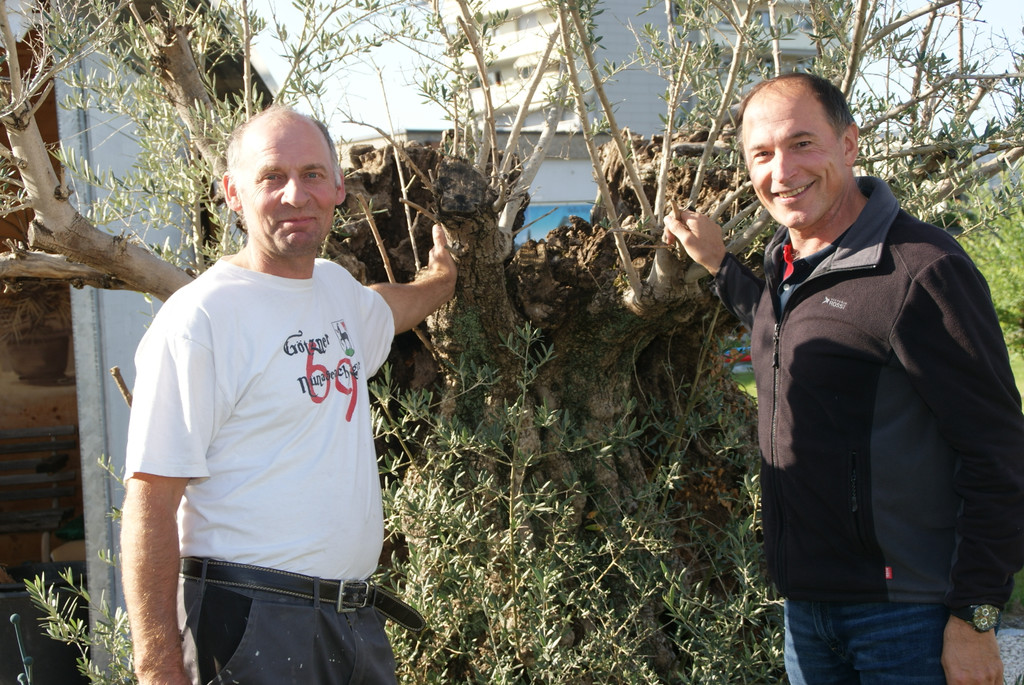 Dieter Fetz_ Dietmar Haller.JPG