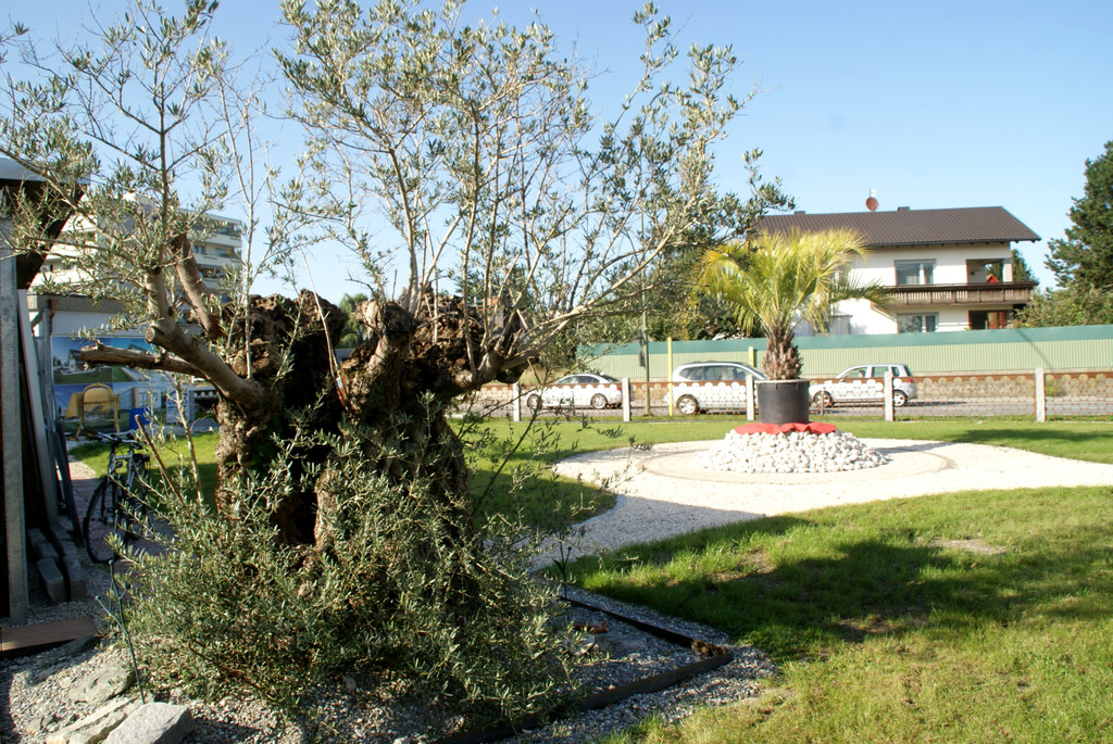 Schaugarten in der Dornbirner Str_ 2.JPG