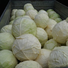 DSC00541.JPG