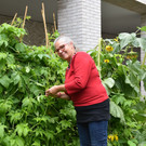 Garten in der Pflege