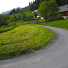 P5243052.JPG