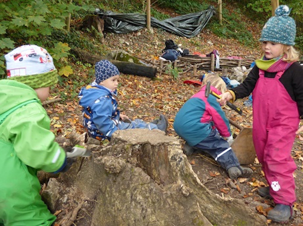 Ringa2 Wald.jpg