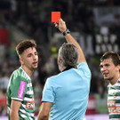 ABD0201-20190925.jpg