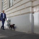 Van der Bellen schreitet zur Wahl