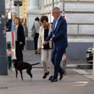 NR-Wahl 2019 - BP A_ Van der Bellen _14 von 57_.jpg