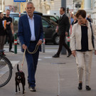 NR-Wahl 2019 - BP A_ Van der Bellen _18 von 57_.jpg