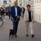 NR-Wahl 2019 - BP A_ Van der Bellen _21 von 57_.jpg