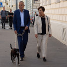 NR-Wahl 2019 - BP A_ Van der Bellen _22 von 57_.jpg