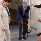 NR-Wahl 2019 - BP A_ Van der Bellen _53 von 57_.jpg