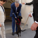 NR-Wahl 2019 - BP A_ Van der Bellen _54 von 57_.jpg