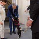 NR-Wahl 2019 - BP A_ Van der Bellen _56 von 57_.jpg