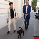 NR-Wahl 2019 - BP A_ Van der Bellen _59 von 57_.jpg