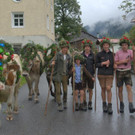 Alpabtrieb Klostertal 2019 Dalaaser Staffel Kuhalpe _2_.jpg