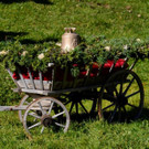 Hubertusfeier Lech-Zug 2019 _56_.jpg