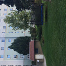 IMG_0897.JPG