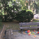IMG_0904.JPG
