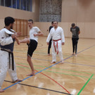 Training bei Mustang
