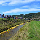 DSC_0910_1.JPG