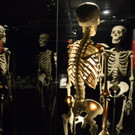 ABD0053-20191004.jpg