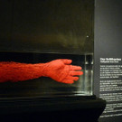 ABD0055-20191004.jpg