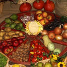 12-IMG_7515.JPG