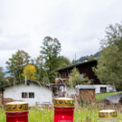 ABD0055-20191007.jpg