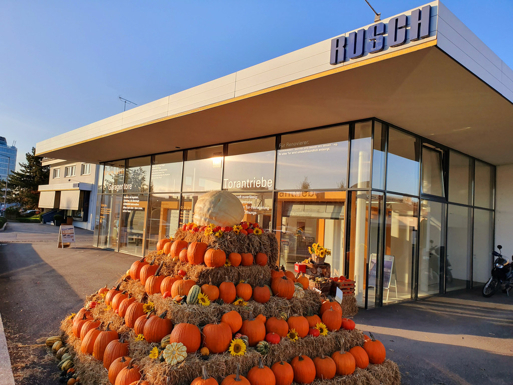20191003_200533.jpg