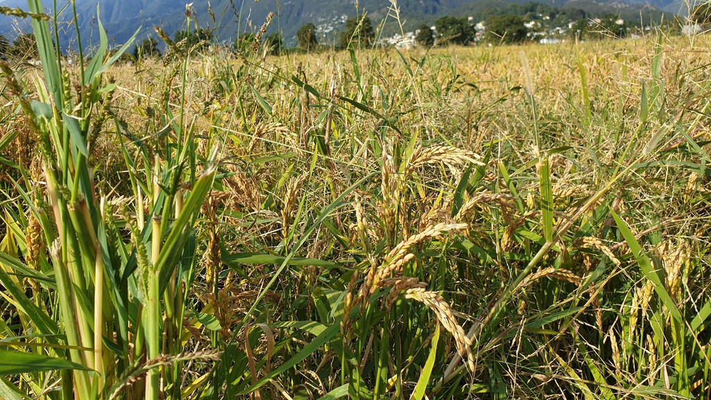 Herbstausflug19_2019-10-04_10-52-19.jpg